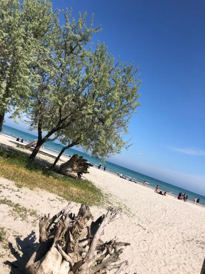 North Spa&Pools Alezzibeach Navodari Luaran gambar